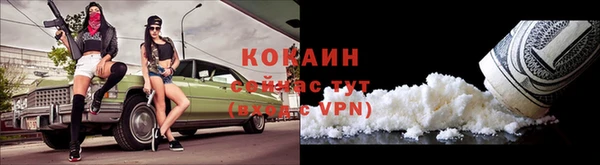 шишки Арсеньев