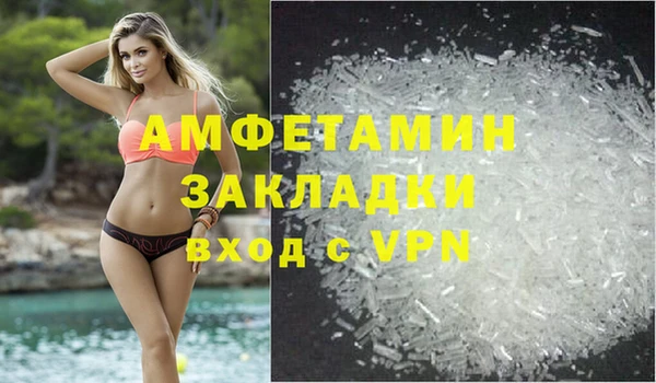 шишки Арсеньев
