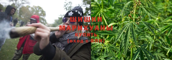 шишки Арсеньев