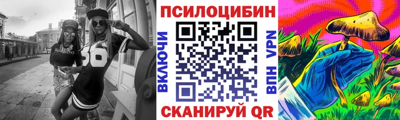 Галлюциногенные грибы MAGIC MUSHROOMS  купить наркоту  Томмот 